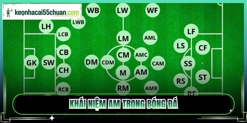 Khái niệm AM trong bóng đá