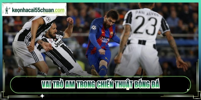 Vai trò AM trong chiến thuật bóng đá