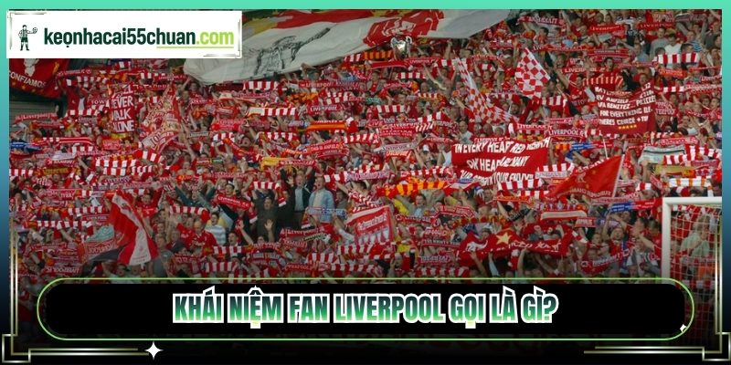 Khái niệm Fan Liverpool gọi là gì?