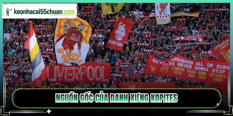 Nguồn gốc của danh xưng Kopites