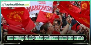 Fan Mu Gọi Là Gì